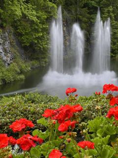 ازدواج نور مبارک